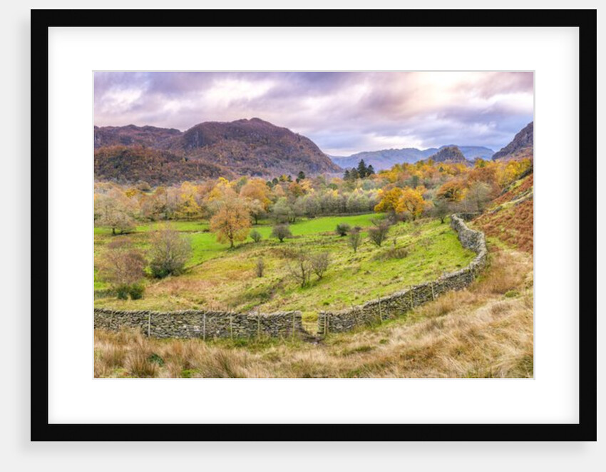 Panorama of lake district by Assaf Frank